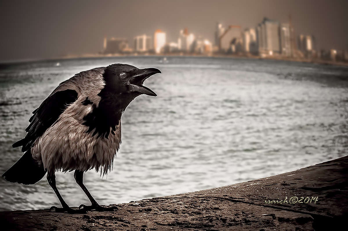 ���-�-�-�... ����� �������  �� PhotoGeek.ru #�������� ��� #���-�����������