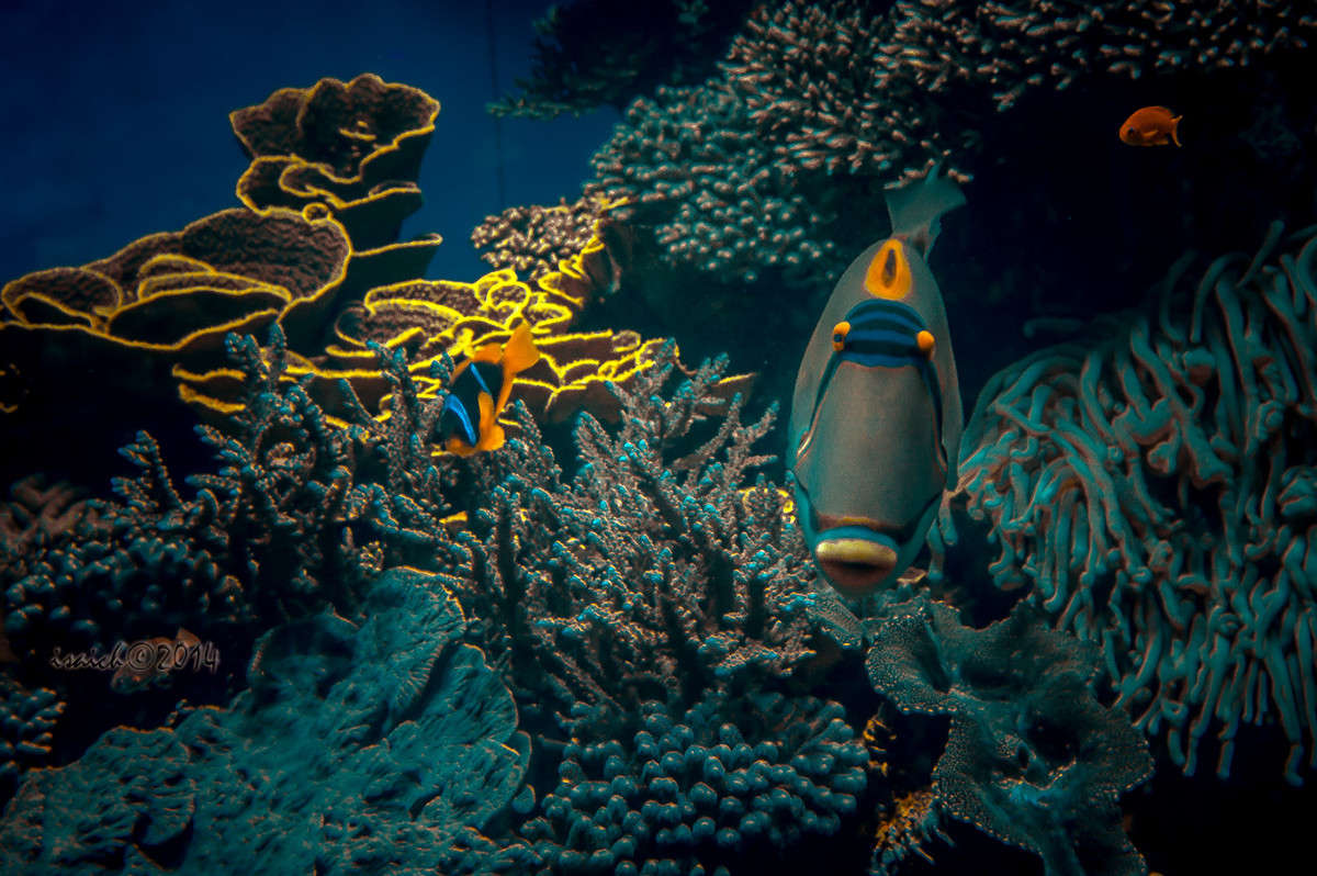 ��� ����� ���������� ����... ����� �������  �� PhotoGeek.ru #�������� ��� #����� ��� ��� ���������