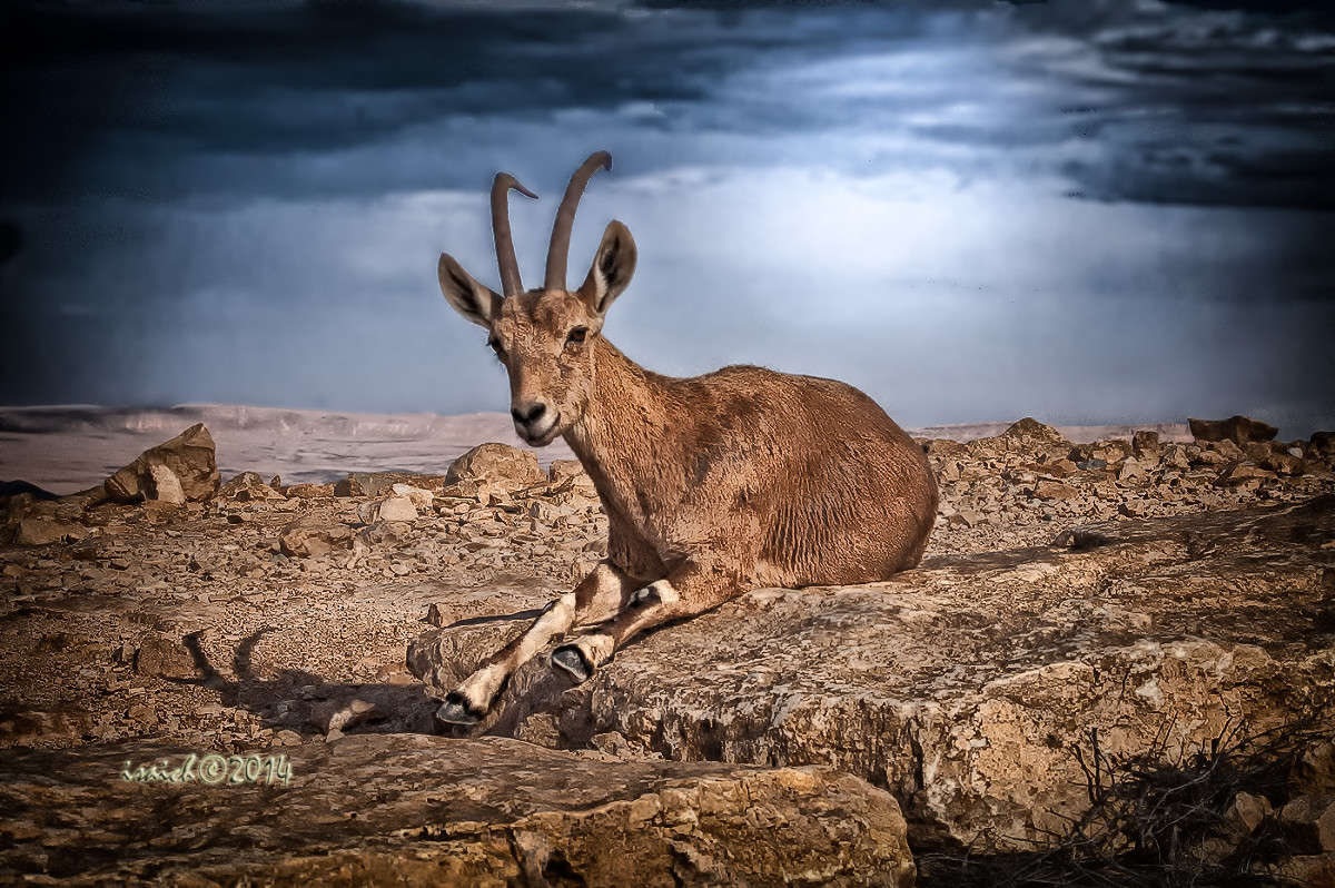 ���� ����� ���� �������. ����� �������  �� PhotoGeek.ru #�������� ��� #������ ��� ������� #����� ��� ��� ��������� #����� ��������