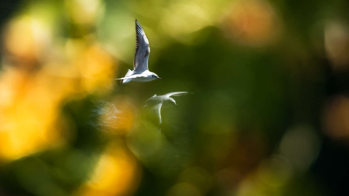 ... ����� �������  �� PhotoGeek.ru #������ ��� ������� #����� ��������