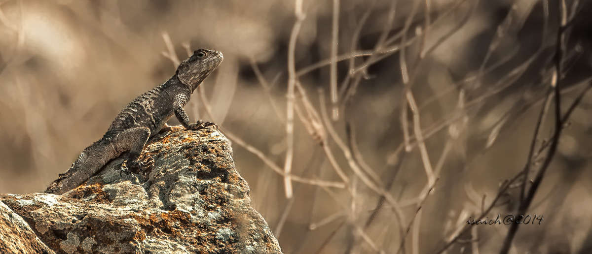 ������� ����� �������  �� PhotoGeek.ru #�������� ��� #������ ��� ������� #����� ��� ��� ��������� #����� ��������