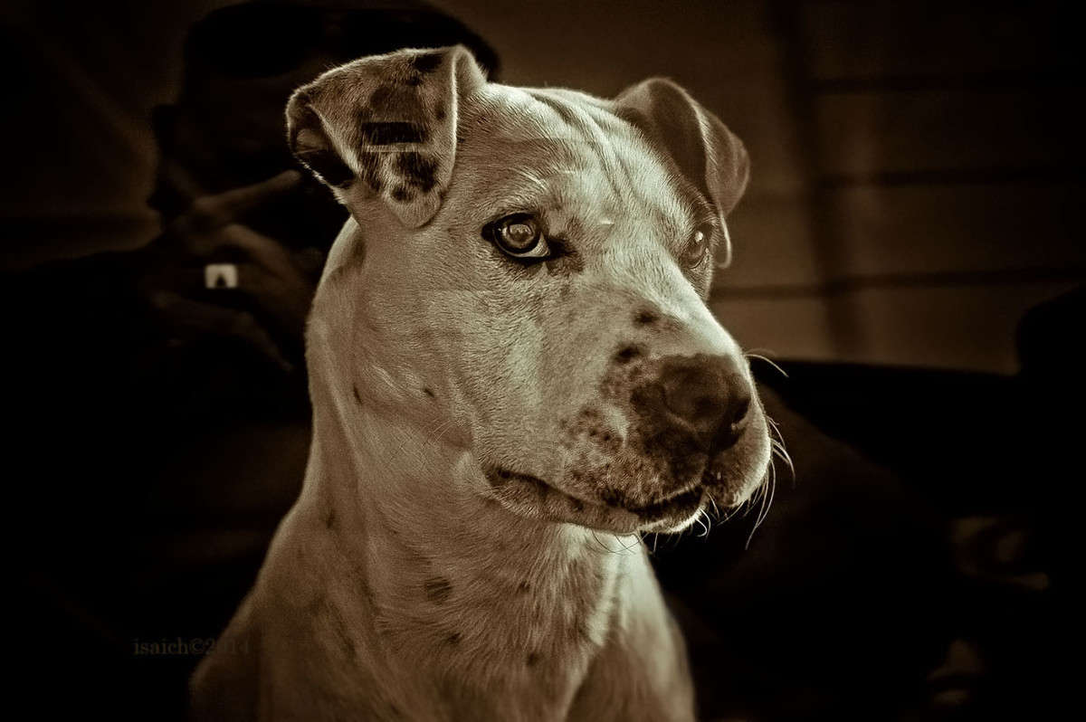 ����� ��� �� ������� ������ ����������... ����� �������  �� PhotoGeek.ru #�������� ���