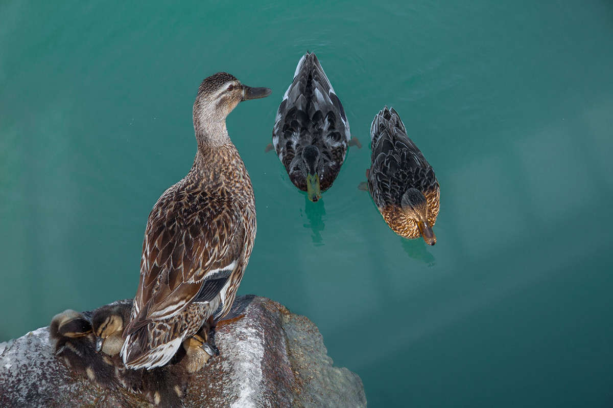 ... ����� �������  �� PhotoGeek.ru #�������� ��� #����� ��� ��� ���������