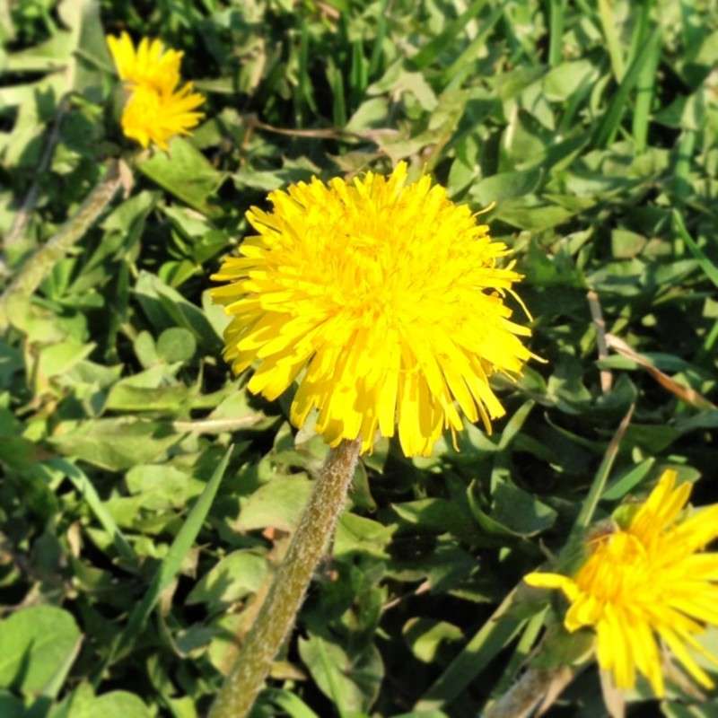 ... ����� ������� ������ �� PhotoGeek.ru #�����