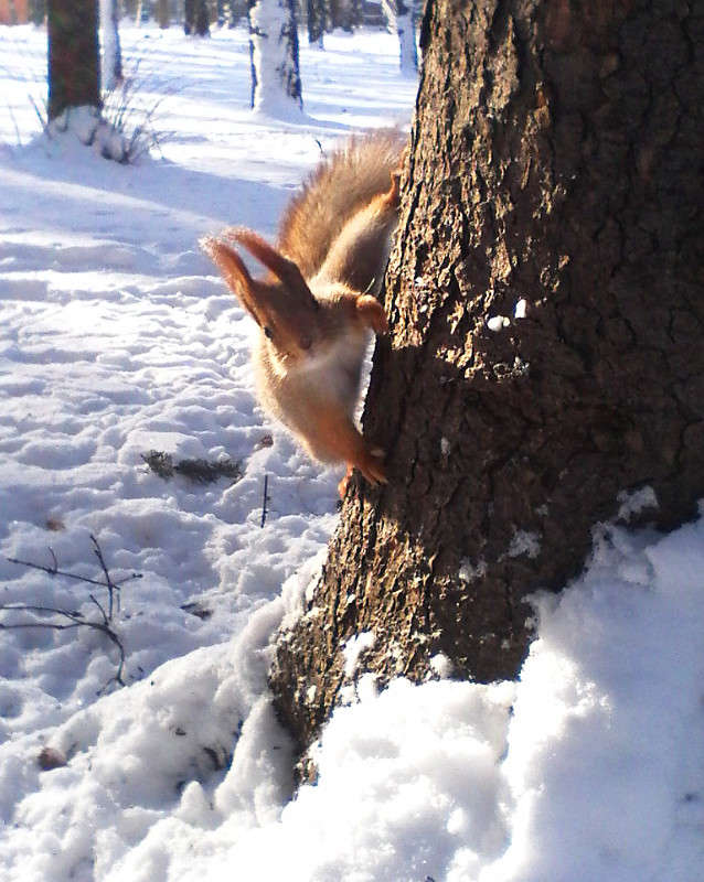 ... ����� ����� ������� �� PhotoGeek.ru #�������� ��� #����� ��� ��� ���������