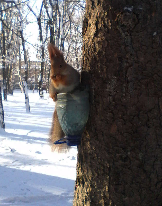 ... ����� ����� ������� �� PhotoGeek.ru #�������� ��� #����� ��� ��� ���������