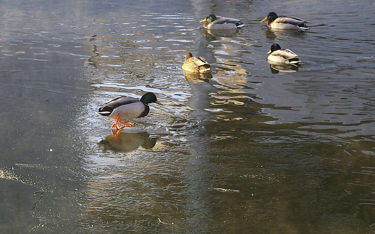 �� ������� ����... ����� ����� ������� �� PhotoGeek.ru #�������� ��� #����� ��� ��� ���������