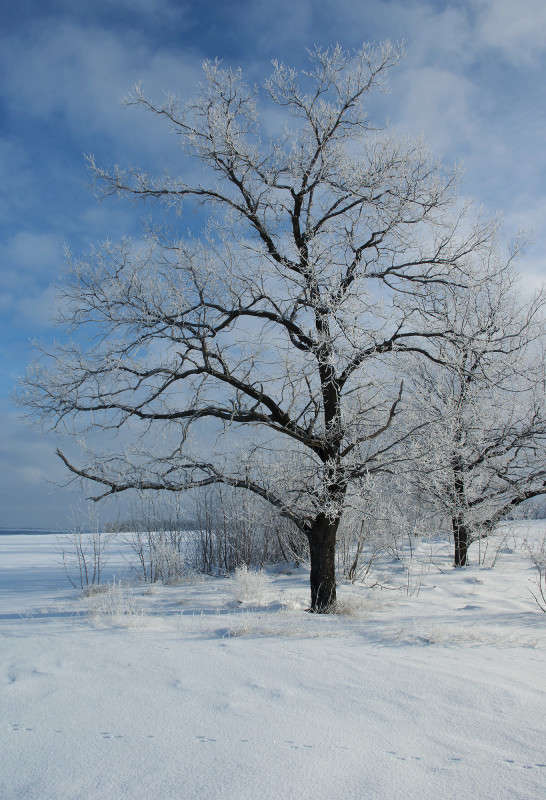 ... ����� ����� ������� �� PhotoGeek.ru #������ ��� �������