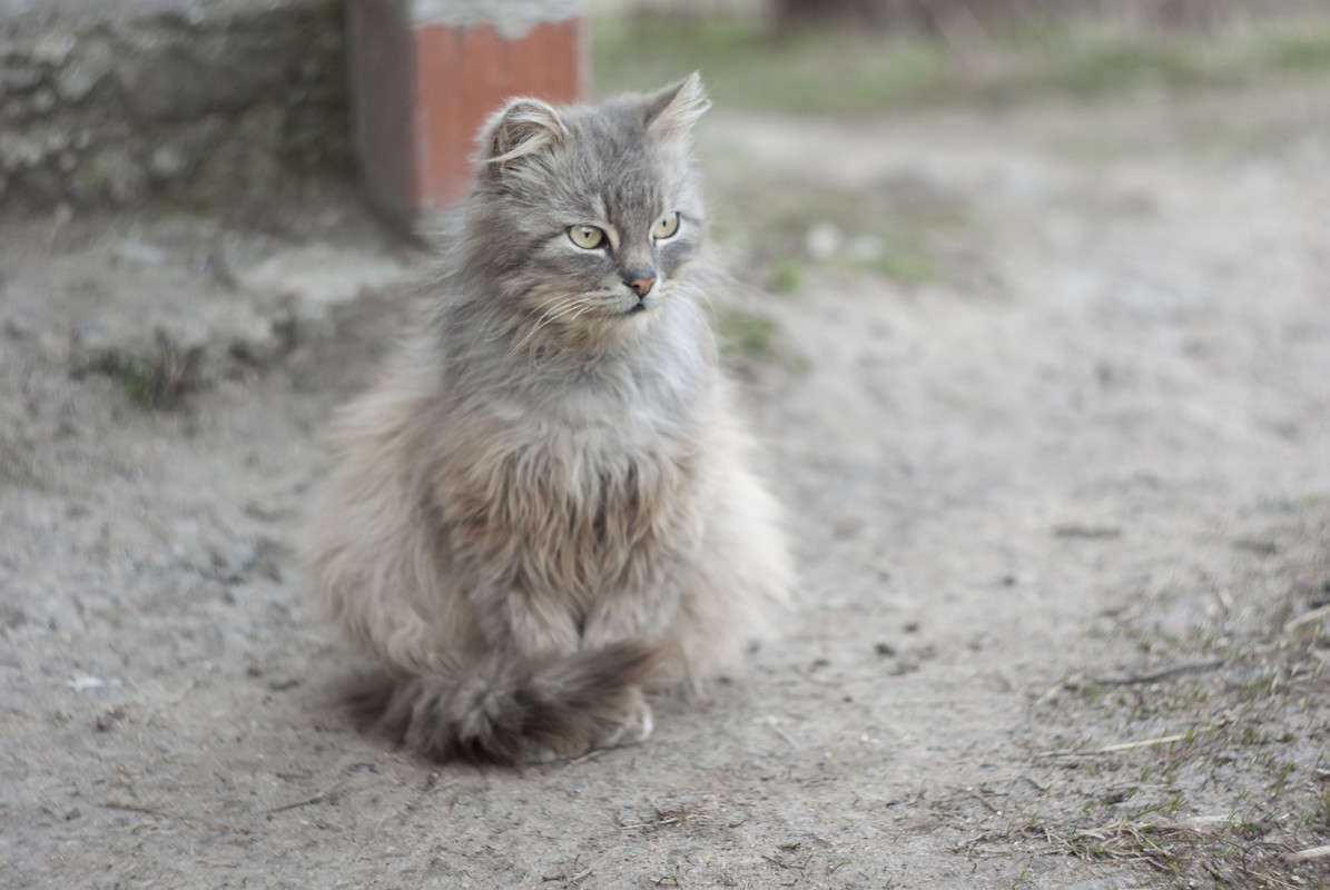 ... ����� ����� ������� �� PhotoGeek.ru #�������� ��� #�������� ���