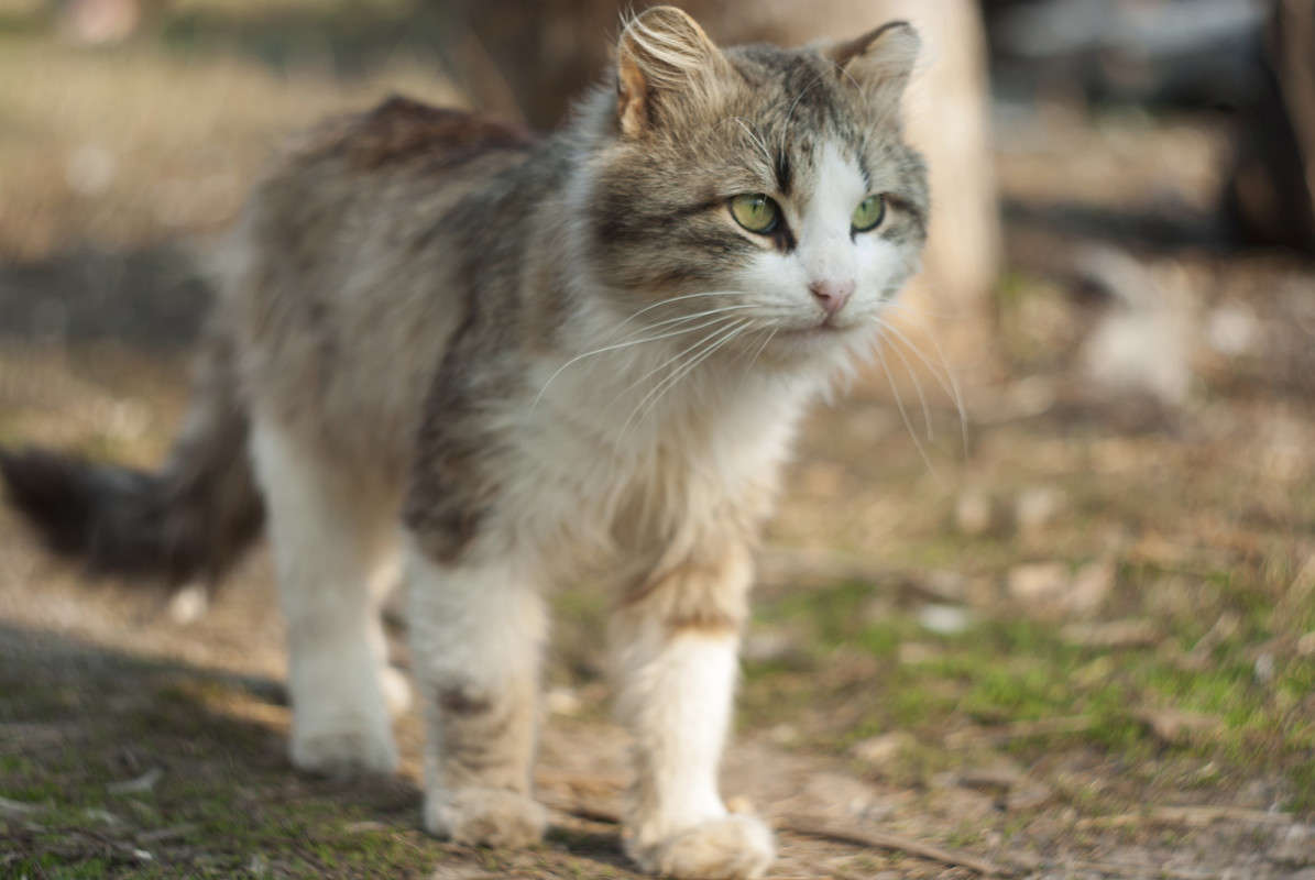 ... ����� ����� ������� �� PhotoGeek.ru #�������� ��� #�������� ���