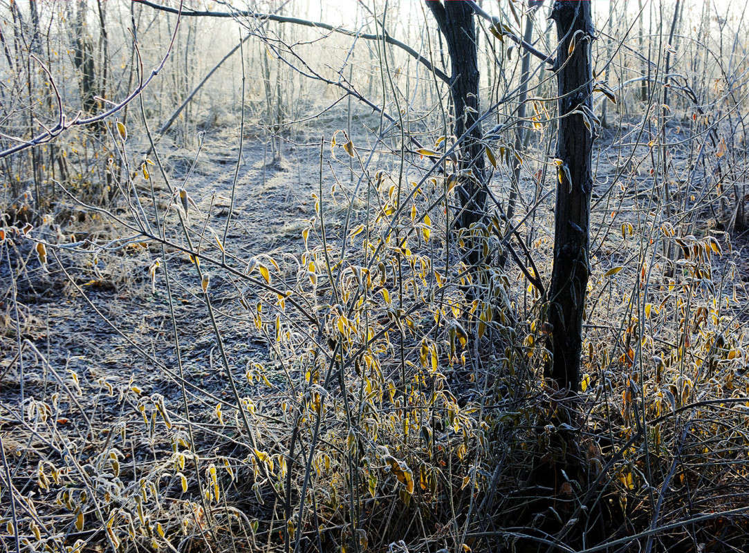 ... ����� ����� ������� �� PhotoGeek.ru #������ ��� �������