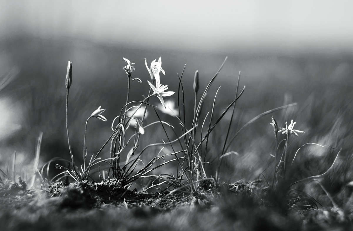 ... ����� ����� ������� �� PhotoGeek.ru #������ ��� ������� #����� ��������������