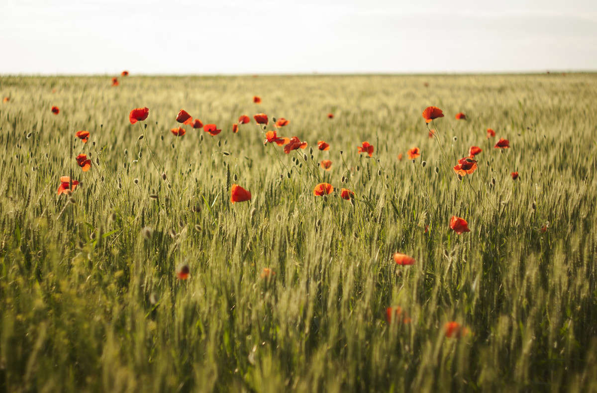 ... ����� ����� ������� �� PhotoGeek.ru #������ ��� �������