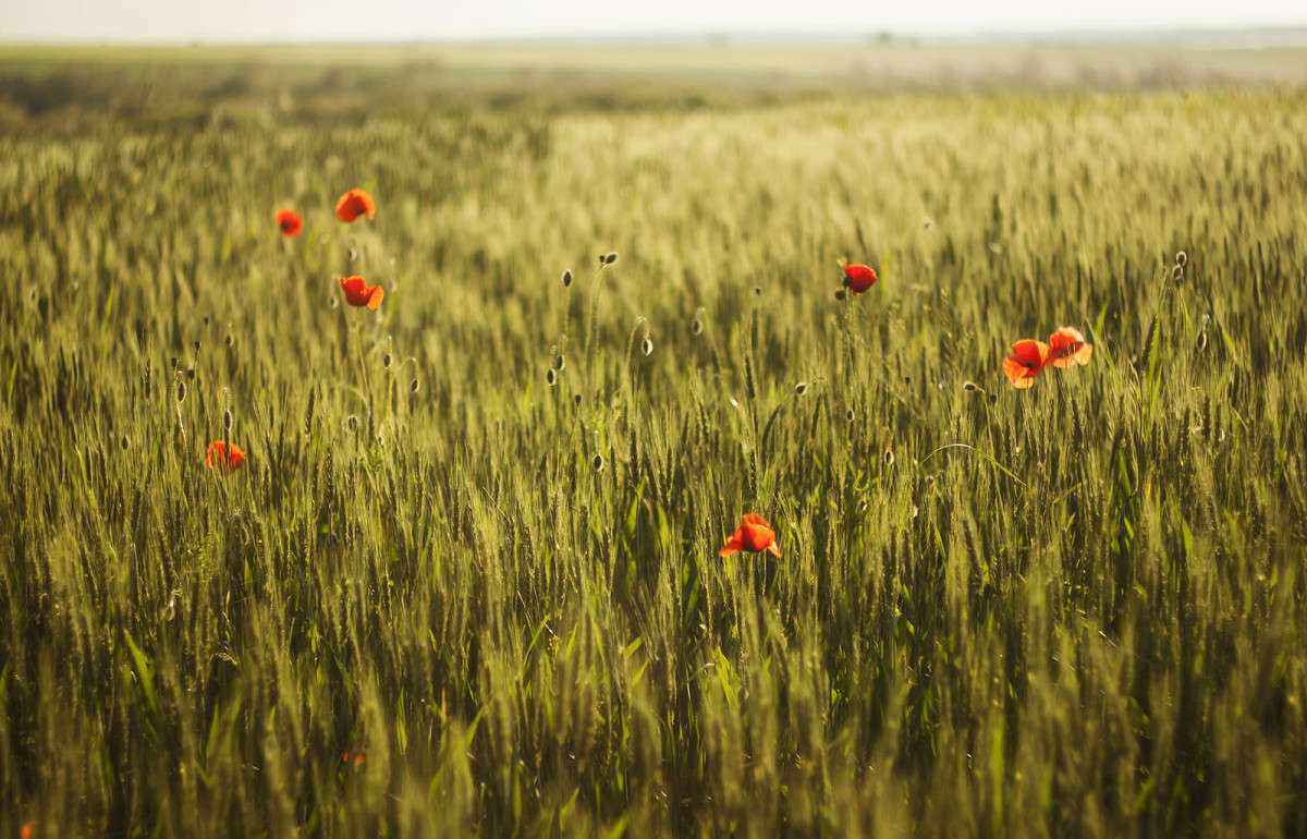 ... ����� ����� ������� �� PhotoGeek.ru #������ ��� �������