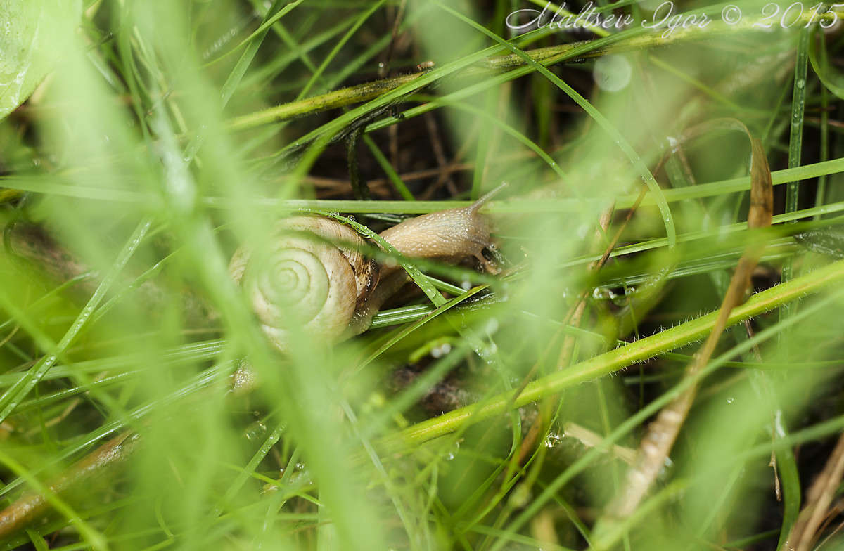 ... ����� ����� ������� �� PhotoGeek.ru #����� #�������� ���