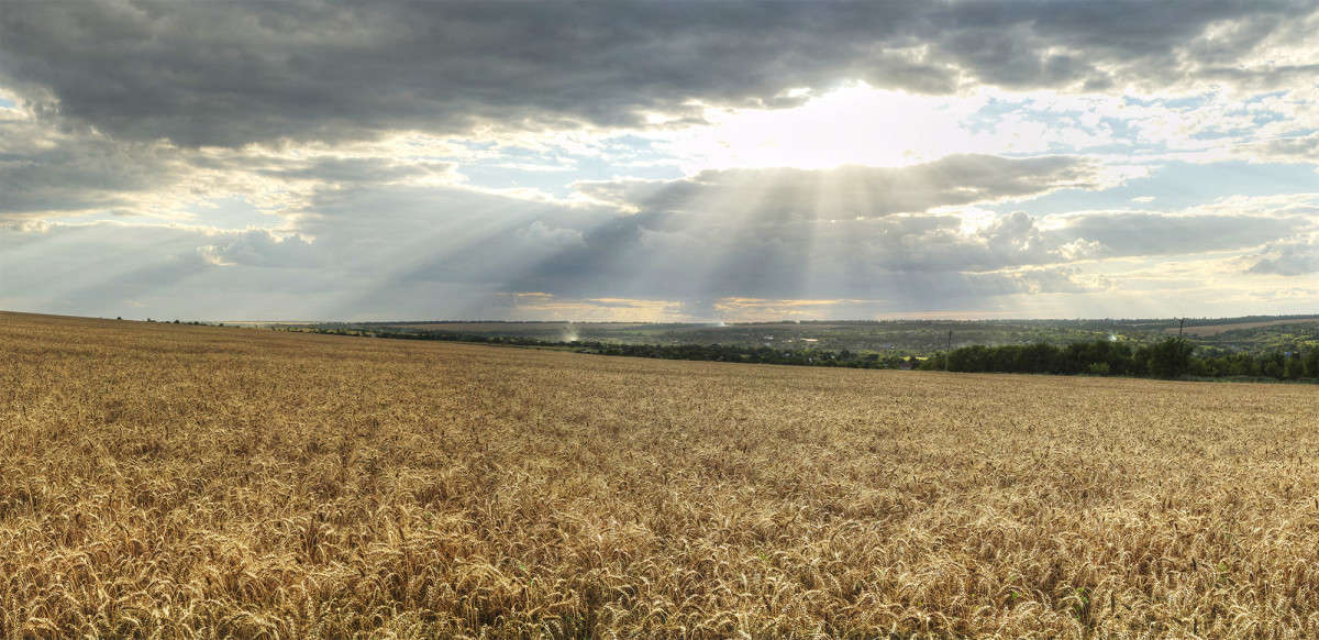 ... ����� ����� ������� �� PhotoGeek.ru #������ ��� ������� #��������