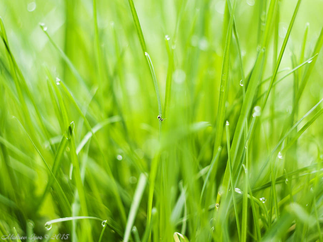 ... ����� ����� ������� �� PhotoGeek.ru #����� #�������� ��� #���������