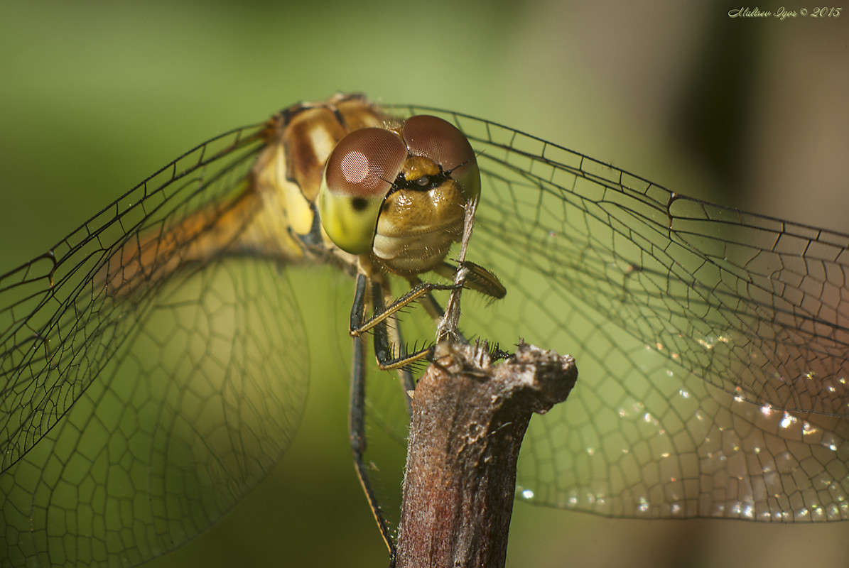 ... ����� ����� ������� �� PhotoGeek.ru #����� #�������� ��� #���������