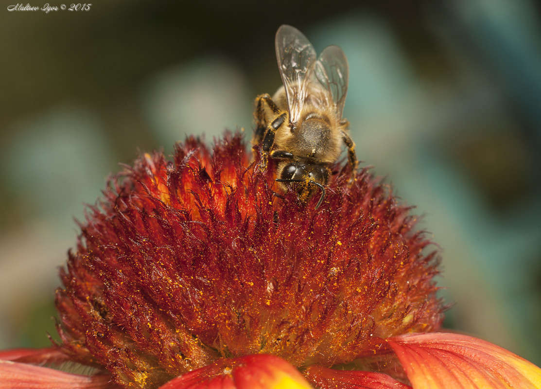 ... ����� ����� ������� �� PhotoGeek.ru #����� #���������