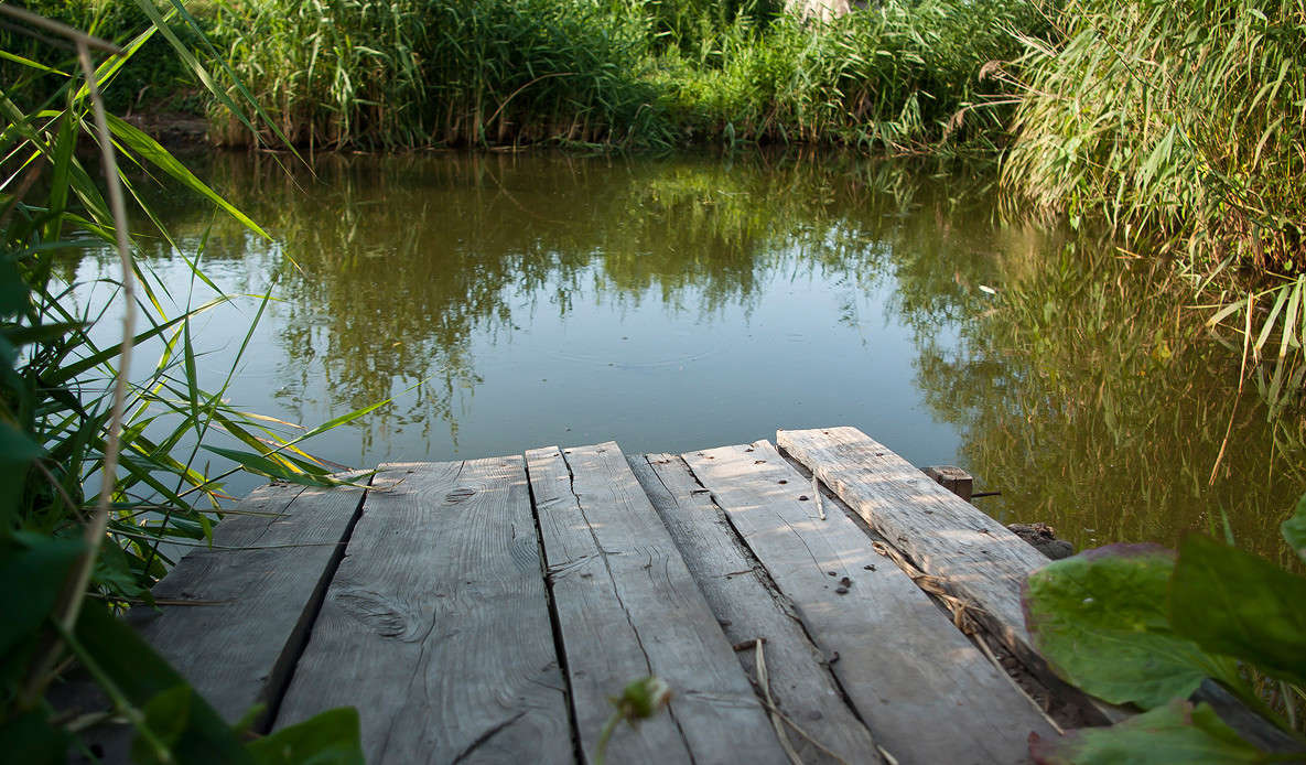 ... ����� ����� ������� �� PhotoGeek.ru #������ ��� �������