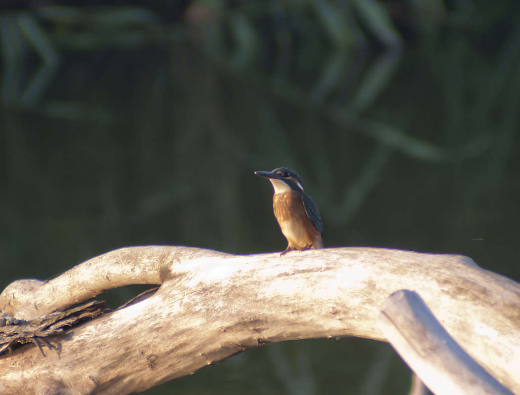 ... ����� ����� ������� �� PhotoGeek.ru #�������� ��� #����� ��� ��� ���������