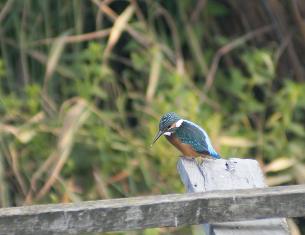 ... ����� ����� ������� �� PhotoGeek.ru #�������� ��� #����� ��� ��� ���������