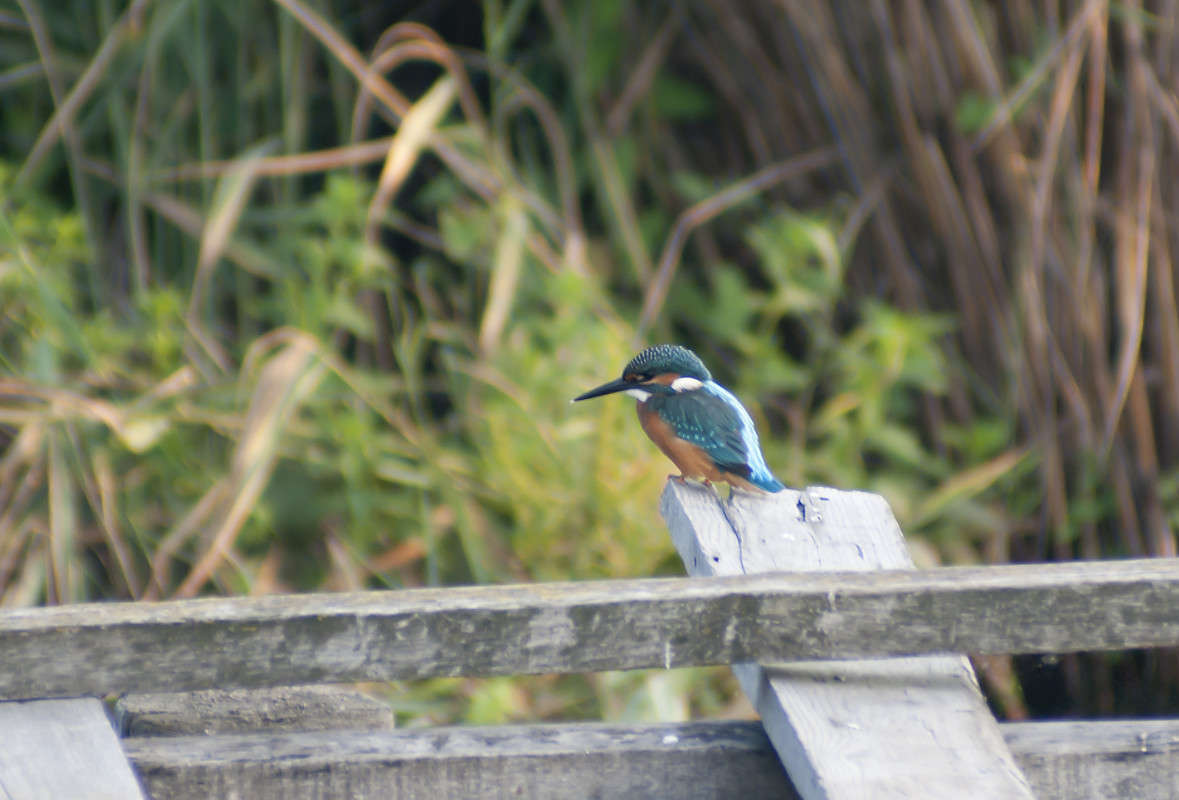 ... ����� ����� ������� �� PhotoGeek.ru #�������� ��� #����� ��� ��� ���������