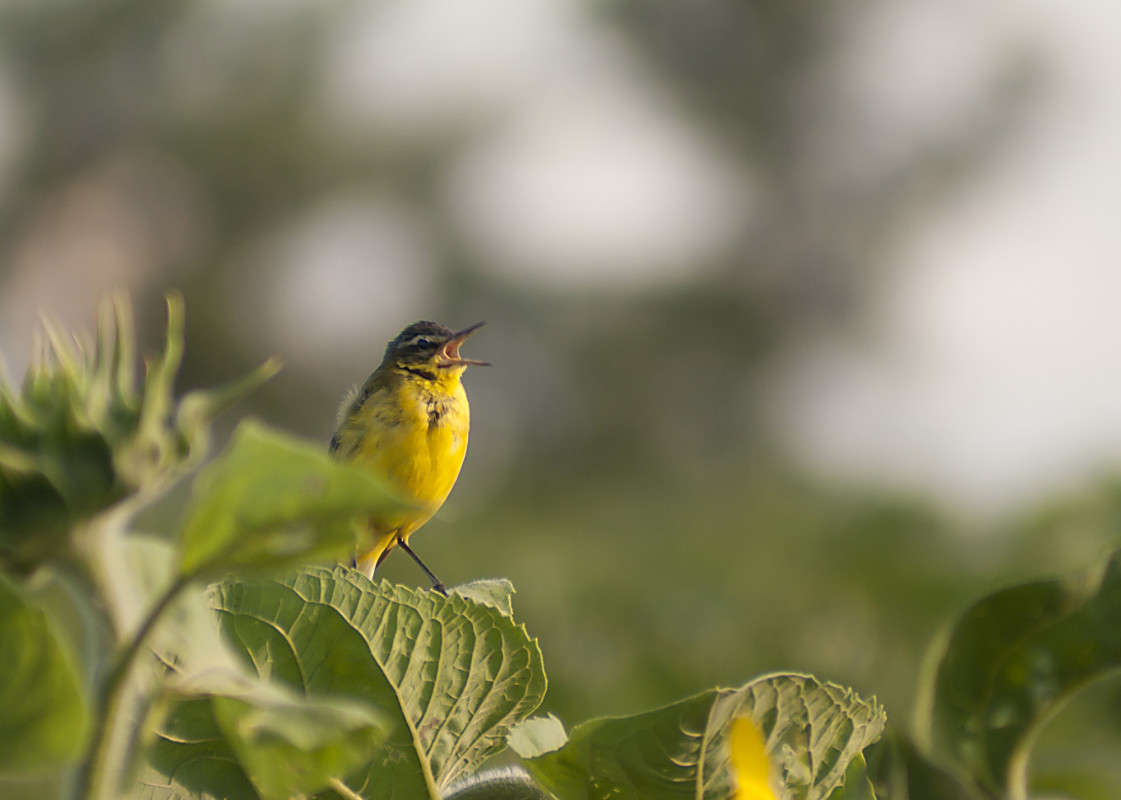 ����� ����� ����� ������� �� PhotoGeek.ru #�������� ��� #����� ��� ��� ���������