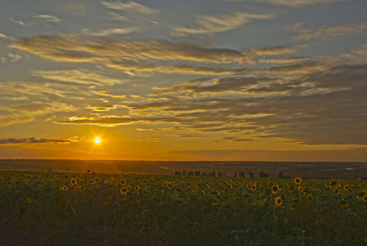 ... ����� ����� ������� �� PhotoGeek.ru #������ ��� �������