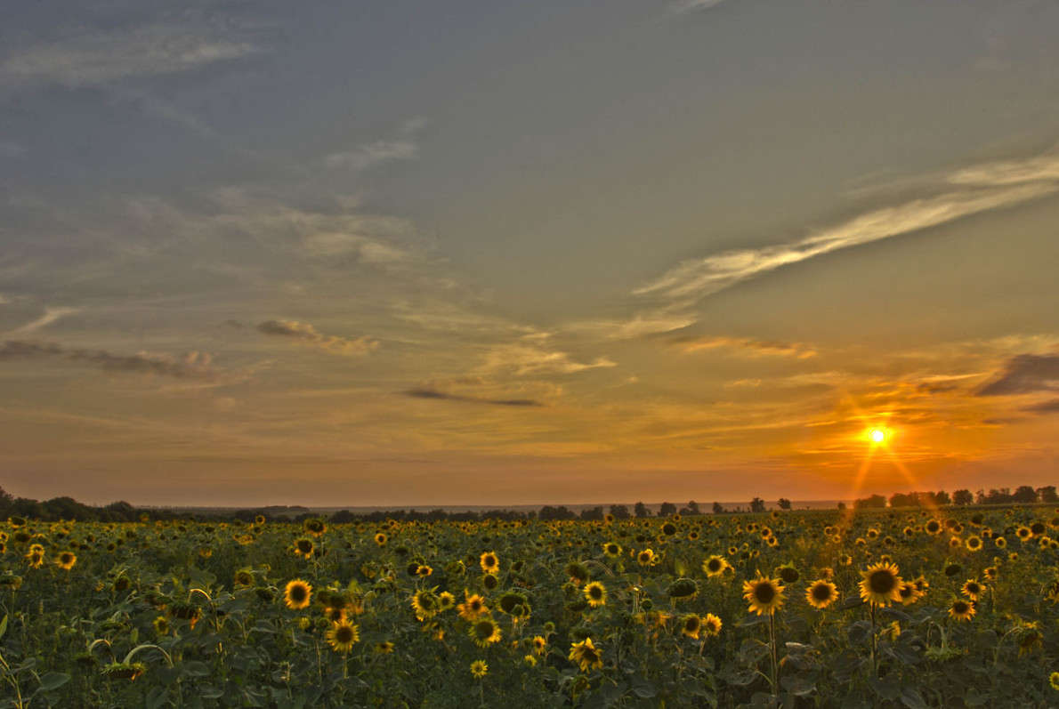 ... ����� ����� ������� �� PhotoGeek.ru #������ ��� �������