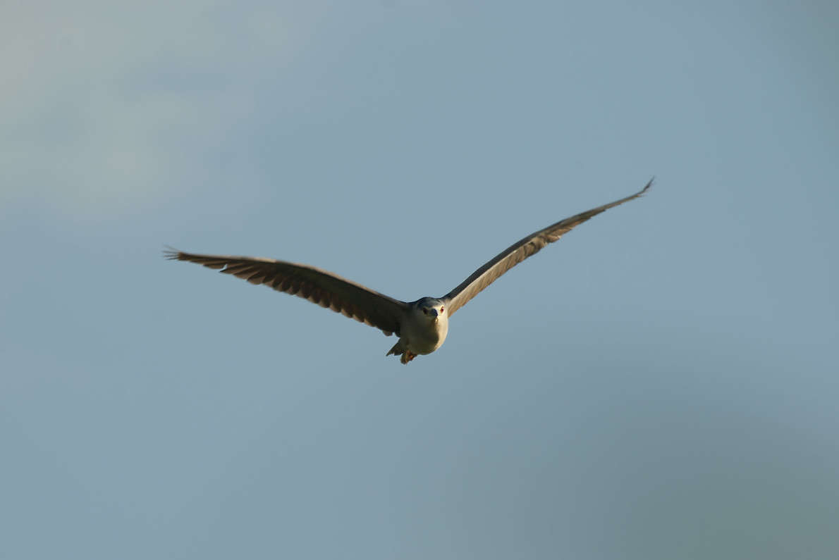 ... ����� ����� ������� �� PhotoGeek.ru #�������� ��� #����� ��� ��� ���������