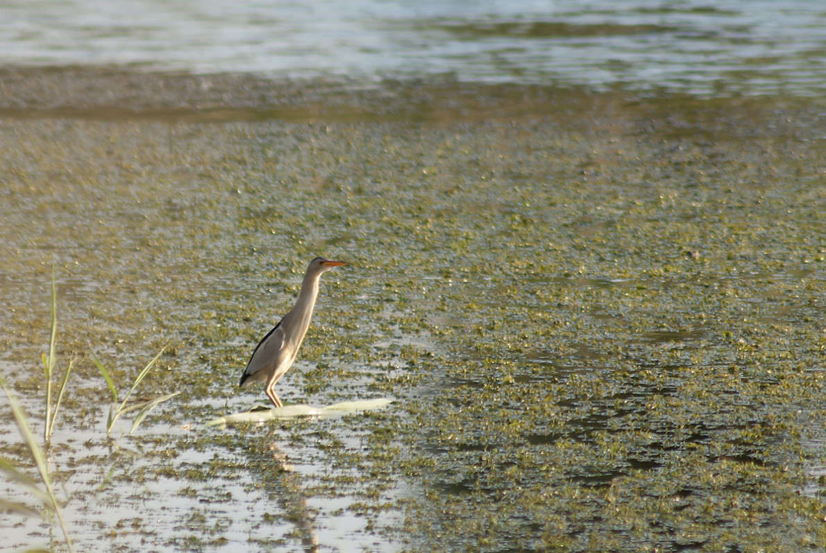 ������ ����� ����� ������� �� PhotoGeek.ru #�������� ��� #����� ��� ��� ���������