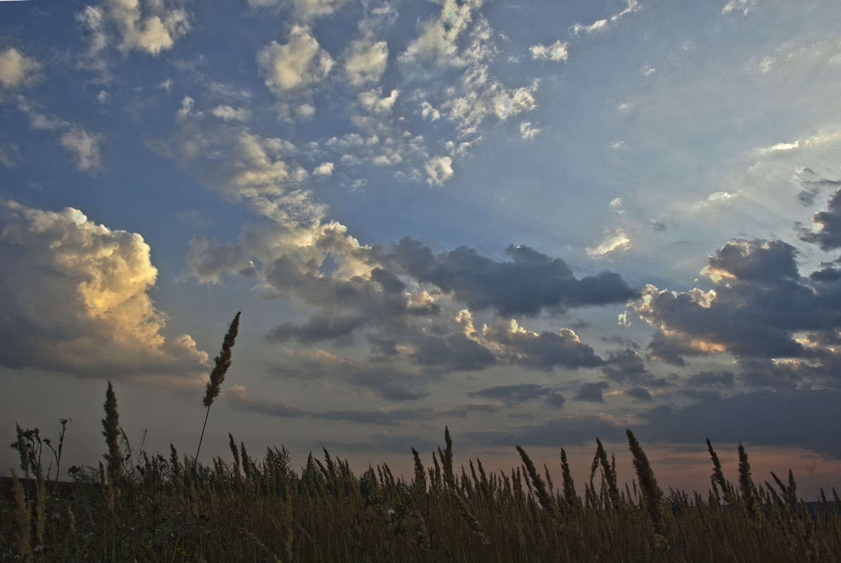 ... ����� ����� ������� �� PhotoGeek.ru #������ ��� ������� #������