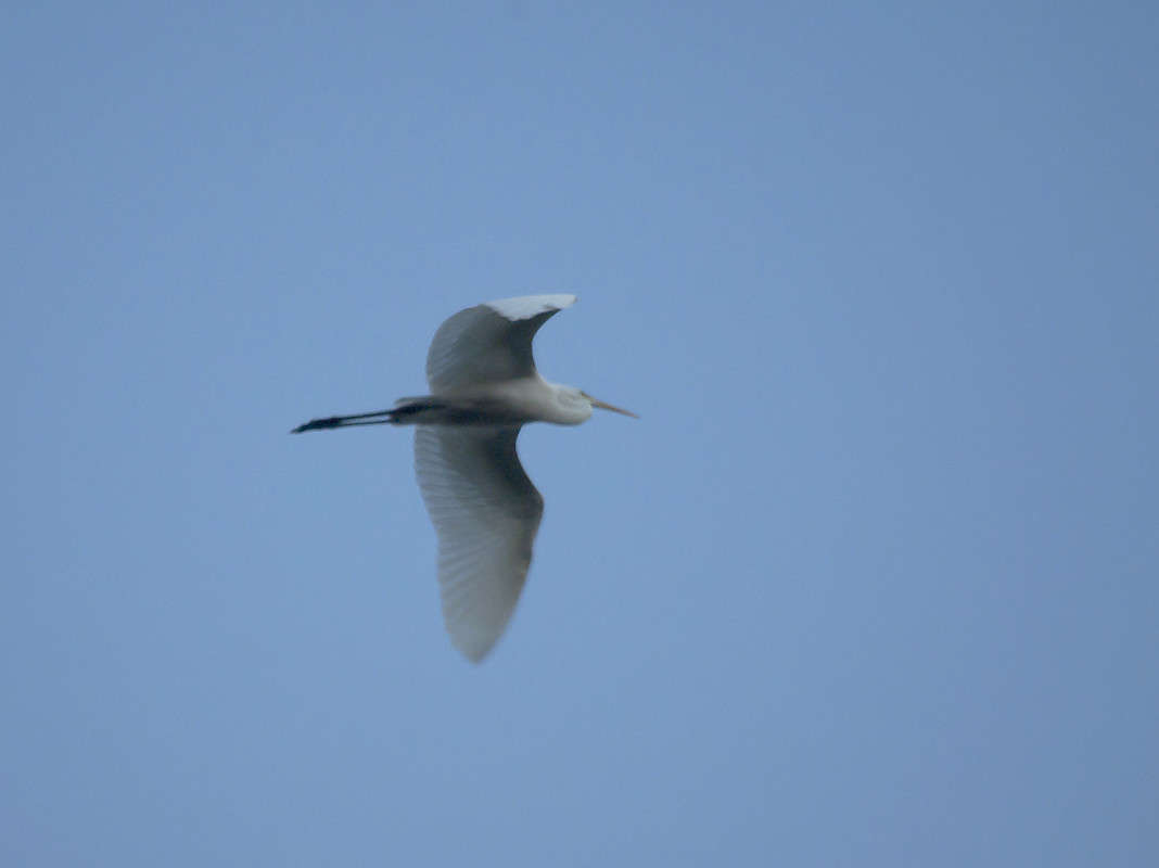 ... ����� ����� ������� �� PhotoGeek.ru #�������� ��� #����� ��� ��� ���������