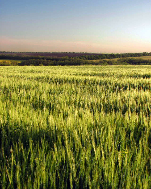 ... ����� ����� ������� �� PhotoGeek.ru #������ ��� ������� #������