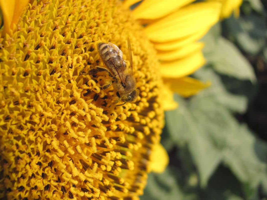 ... ����� ����� ������� �� PhotoGeek.ru #����� #�������� ��� #���������