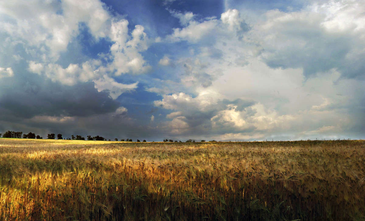 ... ����� ����� ������� �� PhotoGeek.ru #������ ��� ������� #������