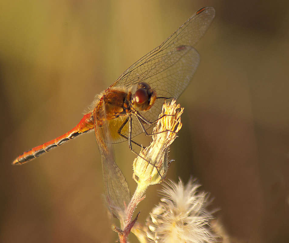 ... ����� ����� ������� �� PhotoGeek.ru #����� #�������� ��� #���������