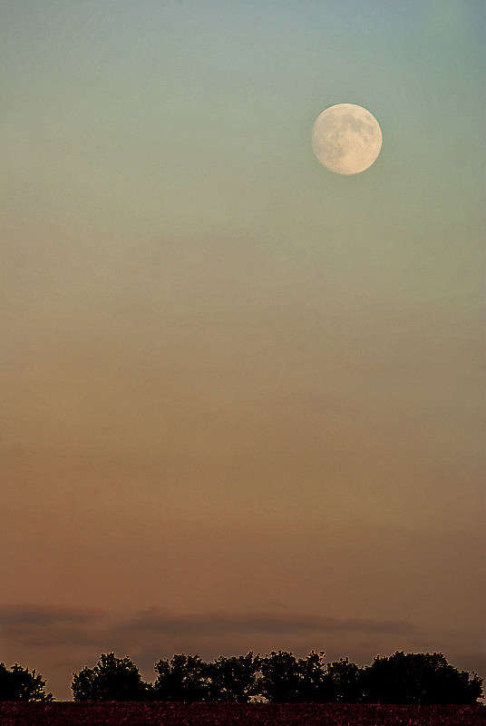 ... ����� ����� ������� �� PhotoGeek.ru #������ ��� ������� #������