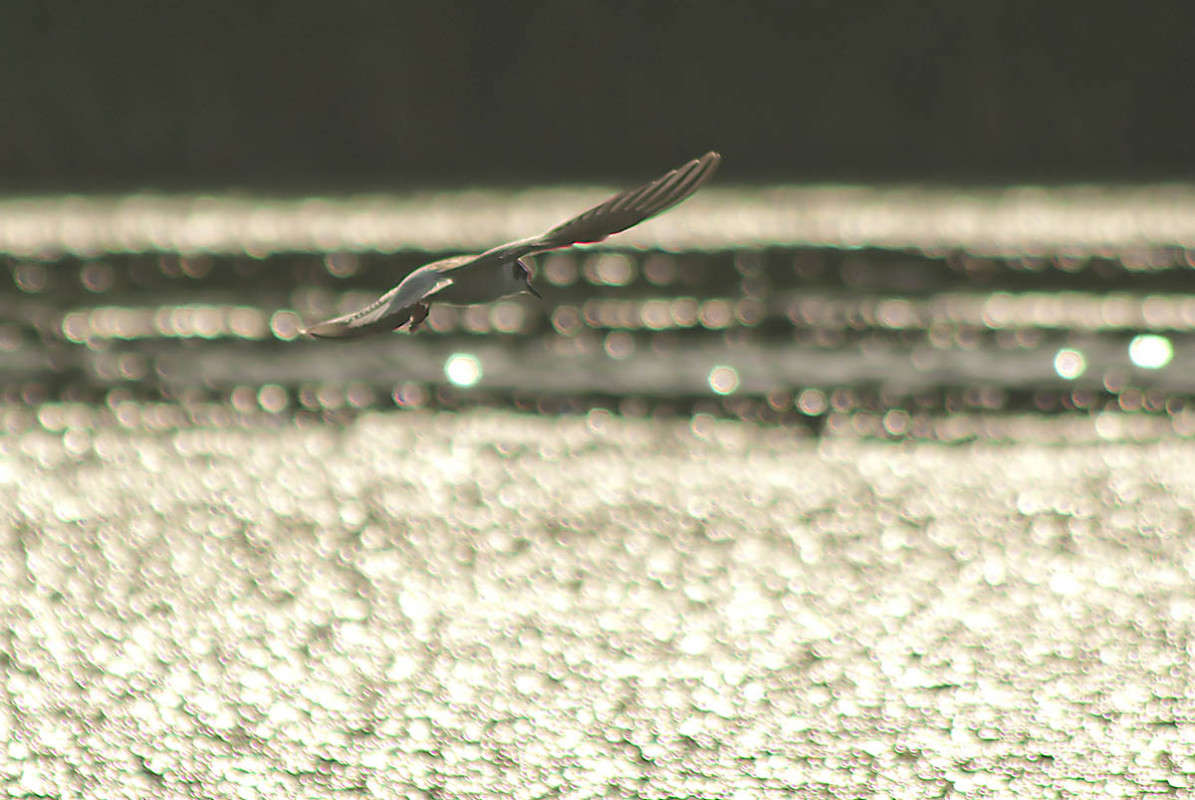 ... ����� ����� ������� �� PhotoGeek.ru #�������� ��� #����� ��� ��� ���������