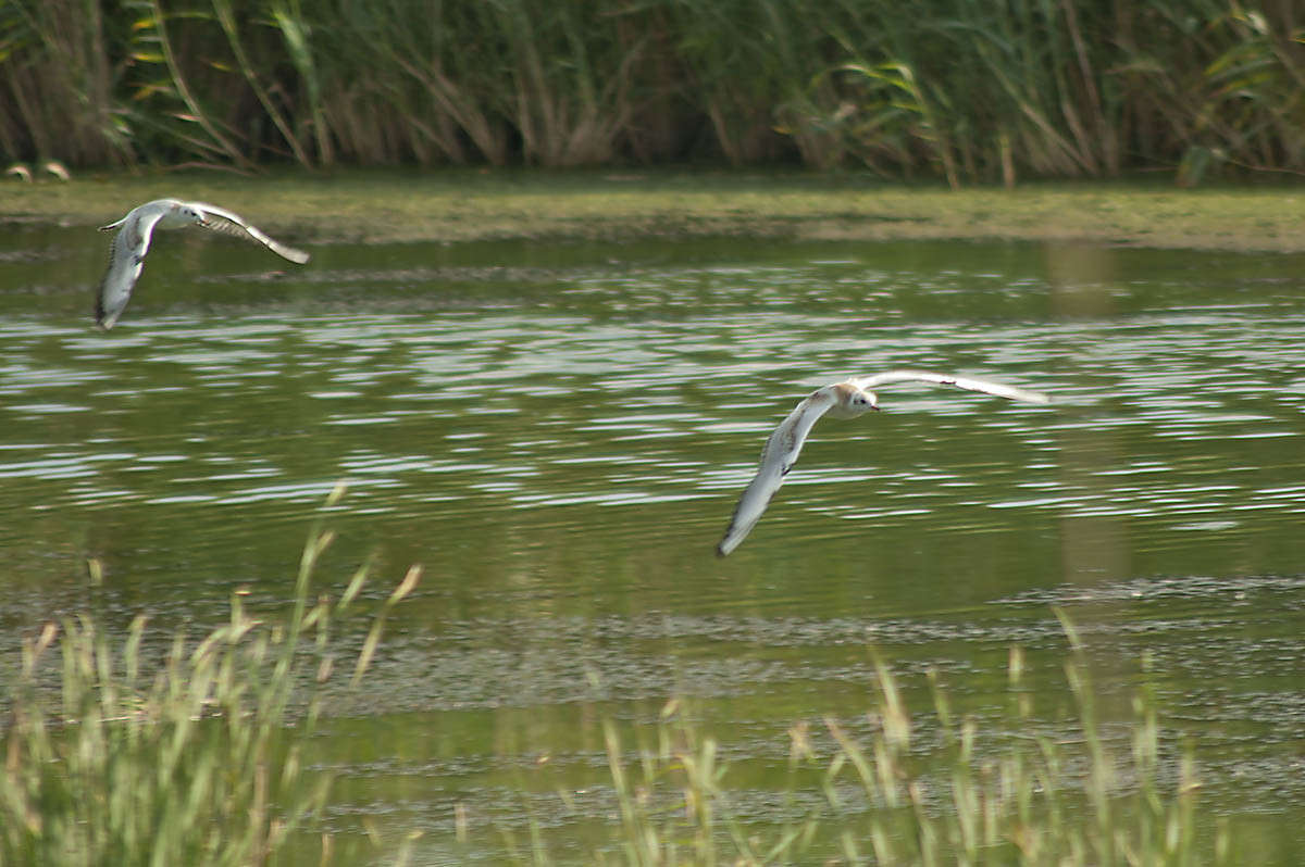 ... ����� ����� ������� �� PhotoGeek.ru #�������� ���