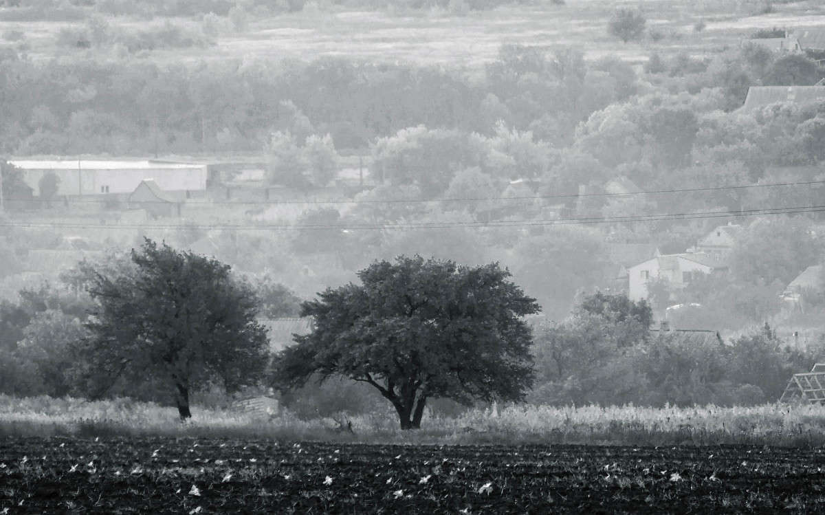 ... ����� ����� ������� �� PhotoGeek.ru #������ ��� ������� #�����-�����