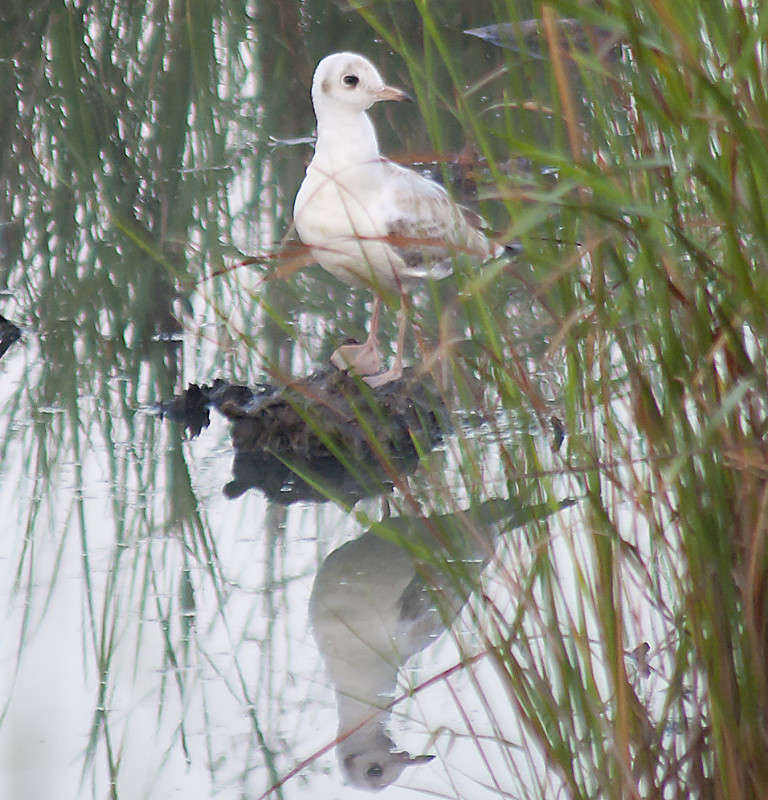 ... ����� ����� ������� �� PhotoGeek.ru #�������� ��� #����� ��� ��� ���������