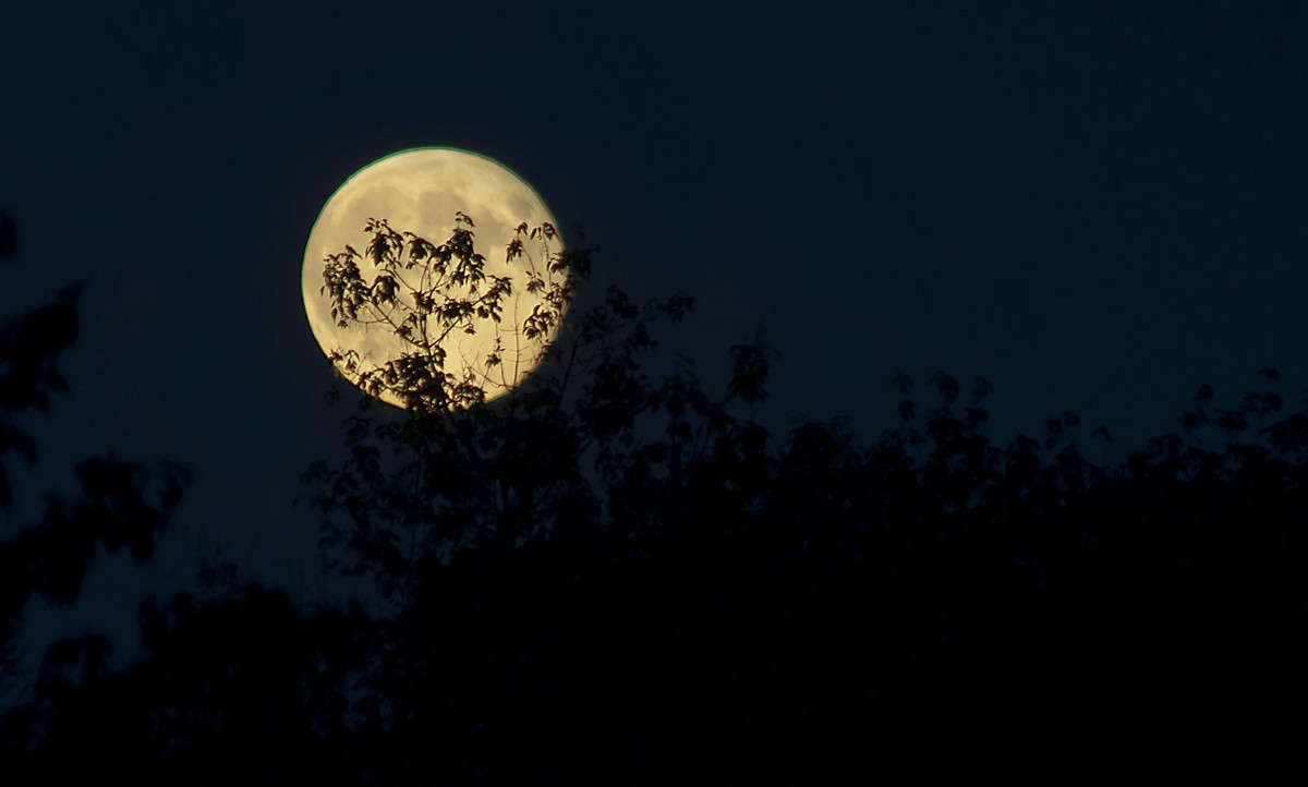 ... ����� ����� ������� �� PhotoGeek.ru #������ ��� ������� #������