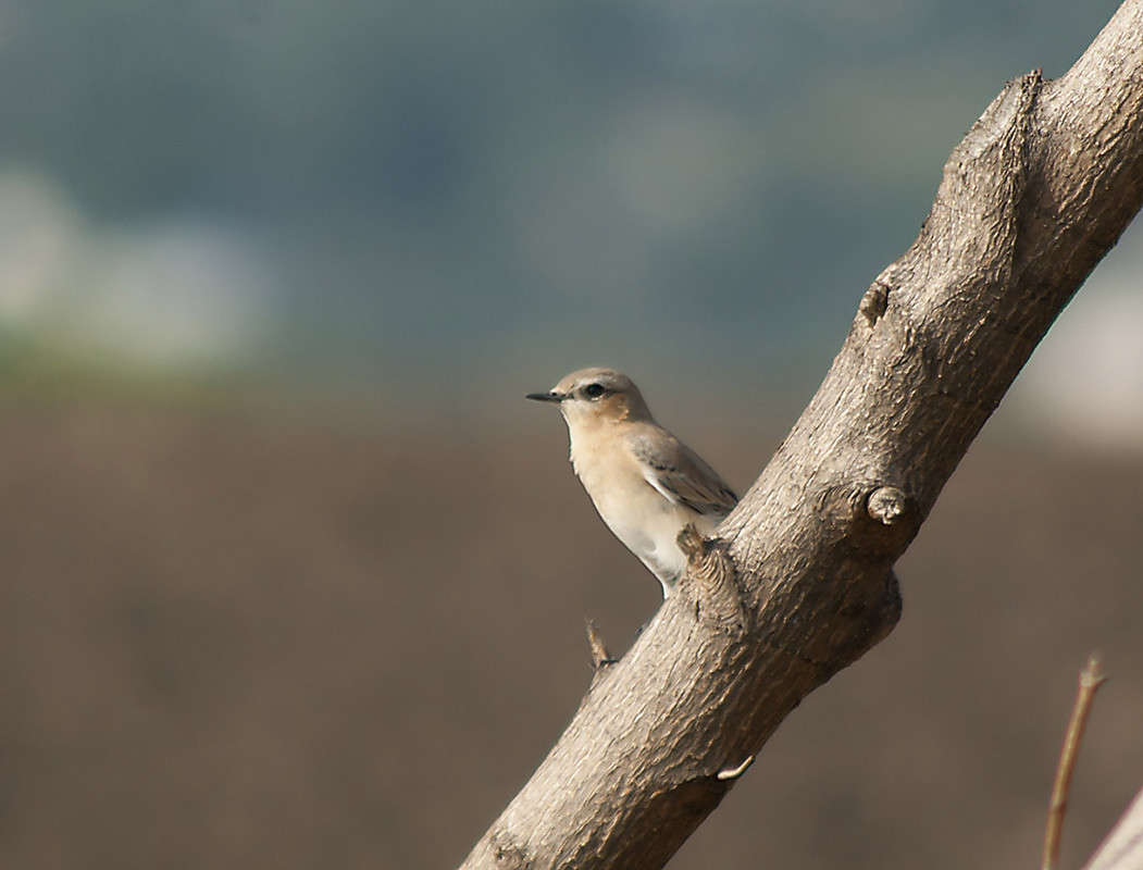 ... ����� ����� ������� �� PhotoGeek.ru #�������� ��� #����� ��� ��� ���������