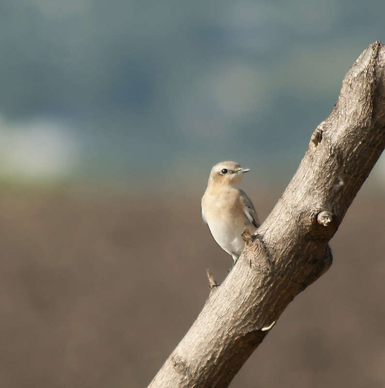 ... ����� ����� ������� �� PhotoGeek.ru #�������� ��� #����� ��� ��� ���������