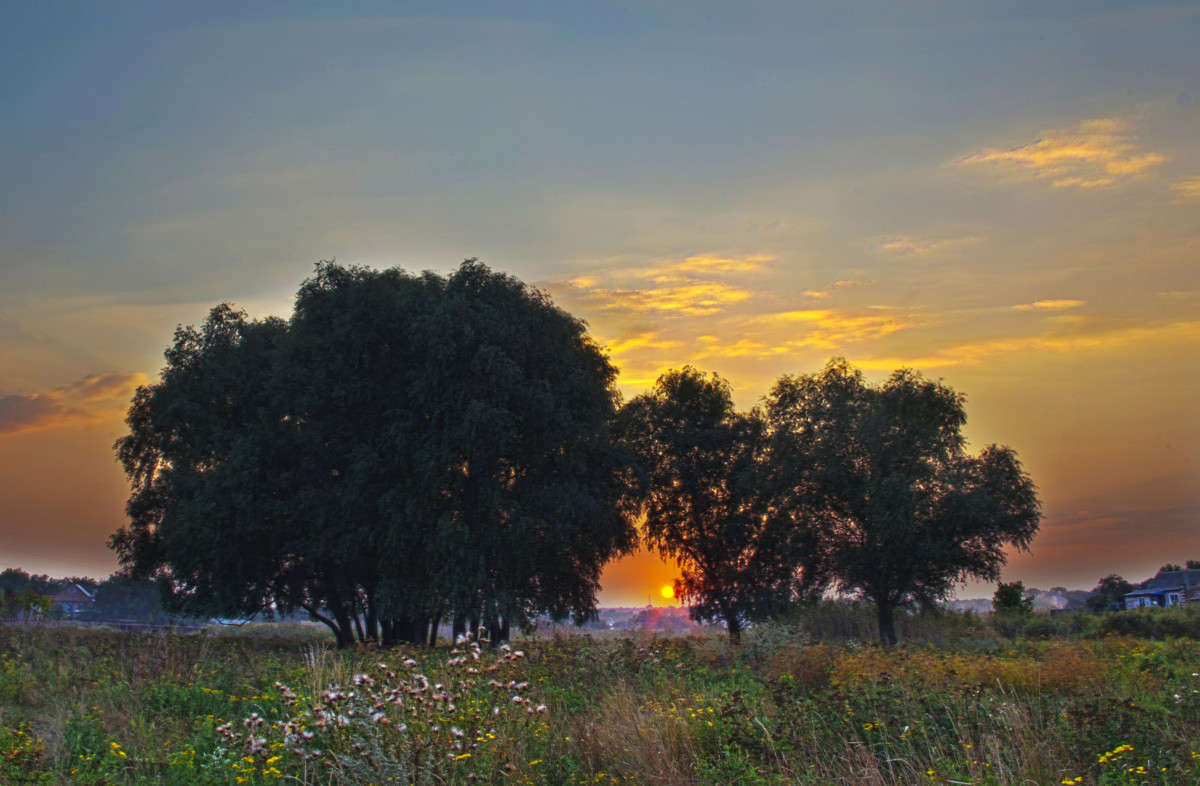 ... ����� ����� ������� �� PhotoGeek.ru #������ ��� ������� #������