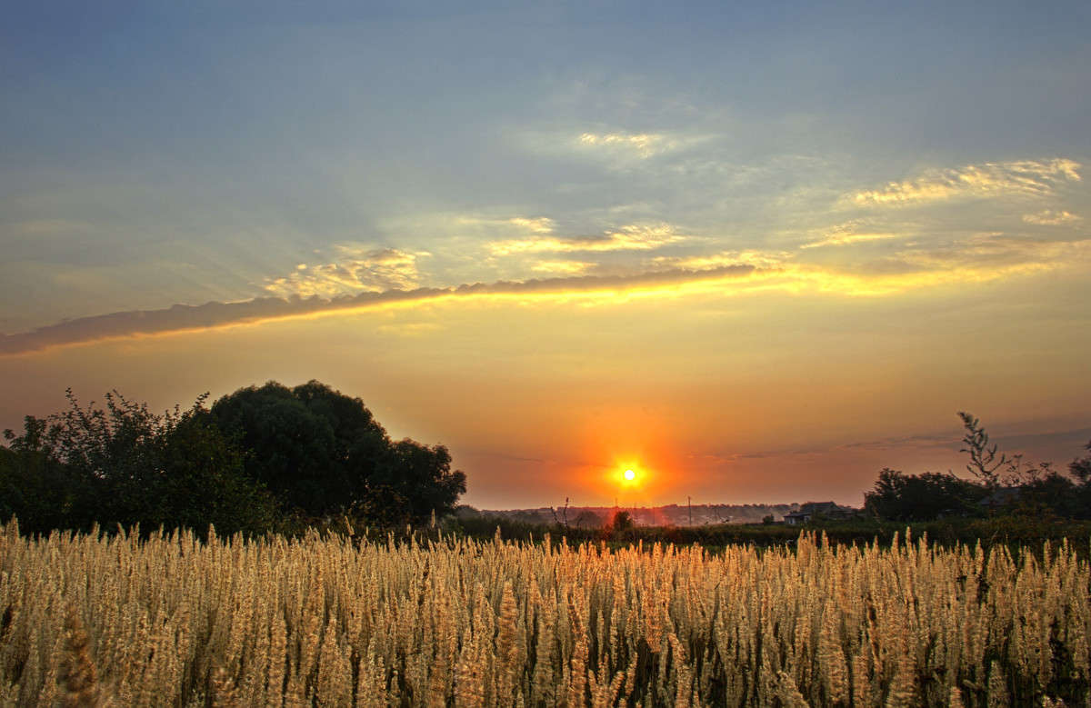 ... ����� ����� ������� �� PhotoGeek.ru #������ ��� ������� #������