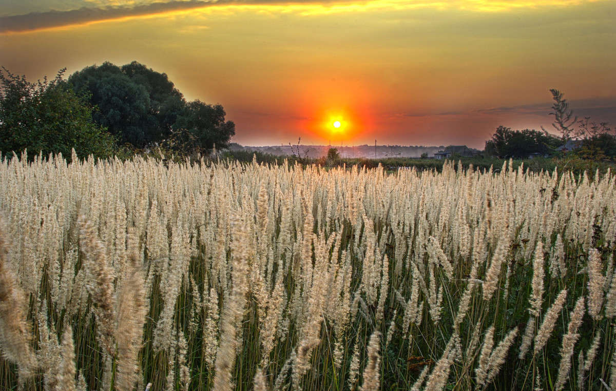 ... ����� ����� ������� �� PhotoGeek.ru #������ ��� ������� #Pfrfn #������