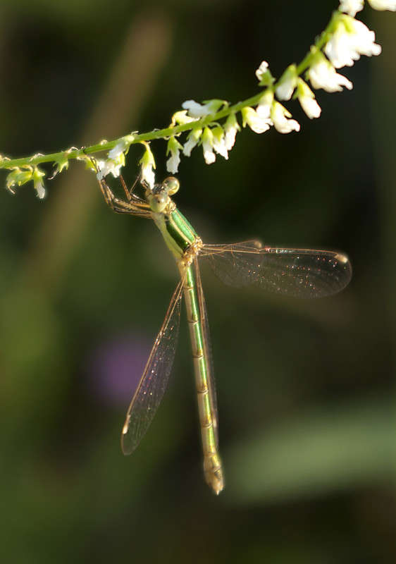 ... ����� ����� ������� �� PhotoGeek.ru #����� #�������� ��� #���������